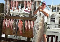 Olin Marler's Charter Fishing